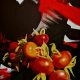 2011_Rose-Hips