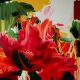2013_flaming-parrot