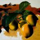 2013_lemons