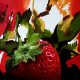 2014_strawberry