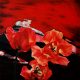 2015_Tulip-fire-2