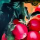 2016_Big-apples-2